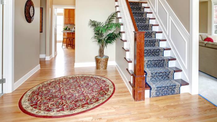 Fort Collins Rug Cleaning